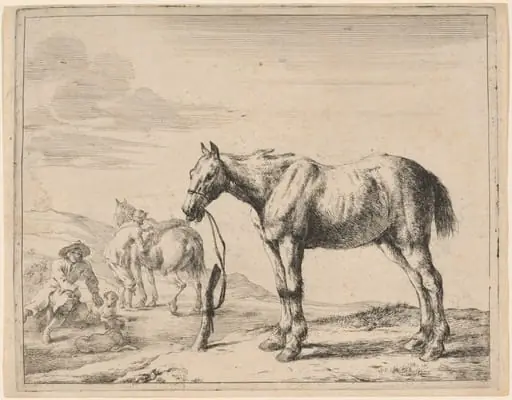 A Horse Bound to a Post, by Dirck Stoop