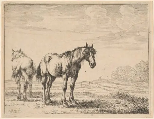 Two Plow Horses Standing in a Field, by Dirck Stoop