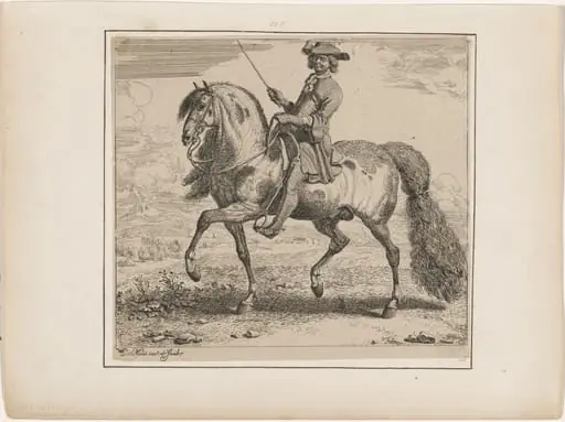 Cavalier on Horseback, by Dirk Maes