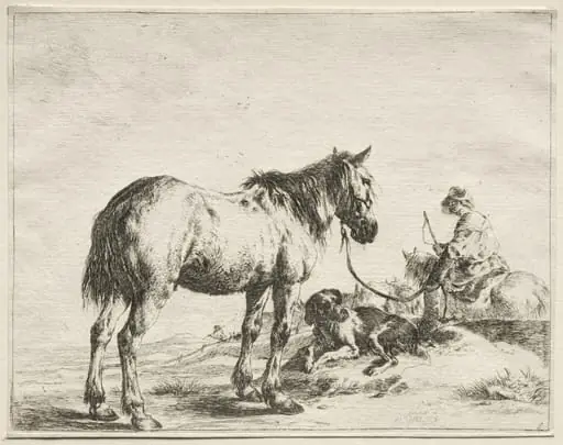 A Horse Fastened to a Stake, by Dirk Stoop