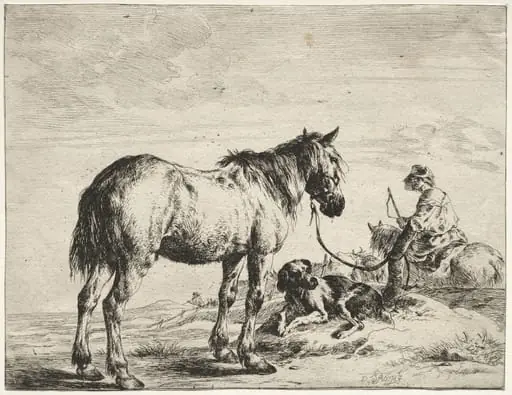 Horse bound to a post, by Dirk Stoop
