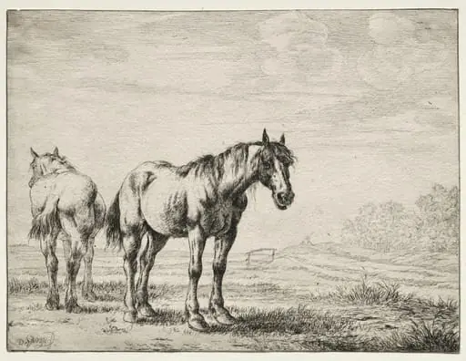 Two plough horses, by Dirk Stoop