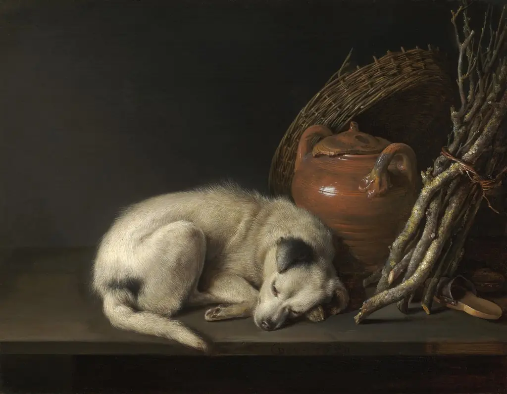 Dog at Rest
