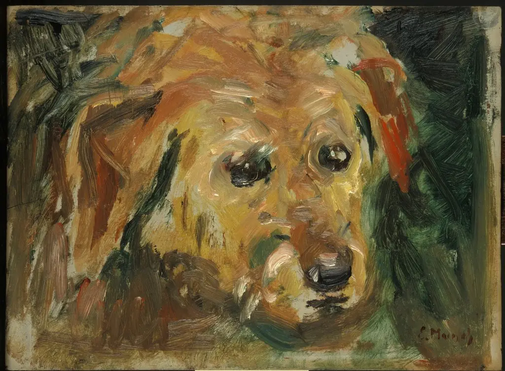 Dog's Face