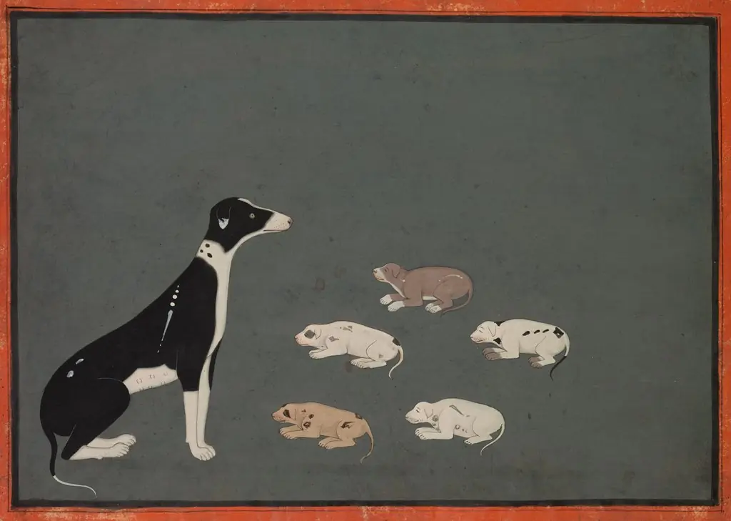 Dog with pups, 1790
