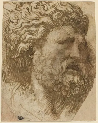 Head of a Man, by Domenico Campagnola