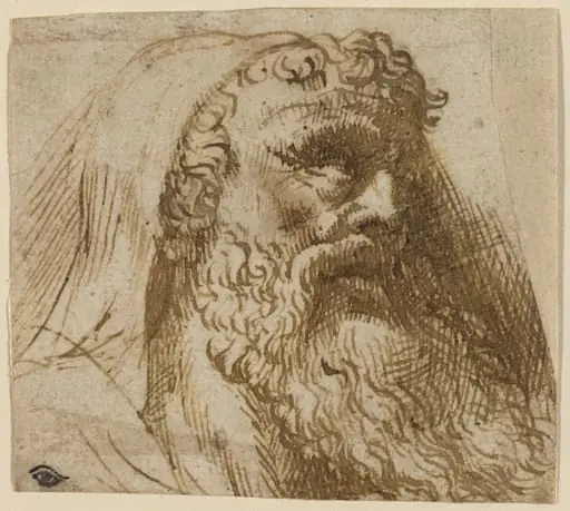 Head of a Man, by Domenico Campagnola