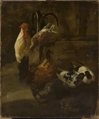 Domestic fowls