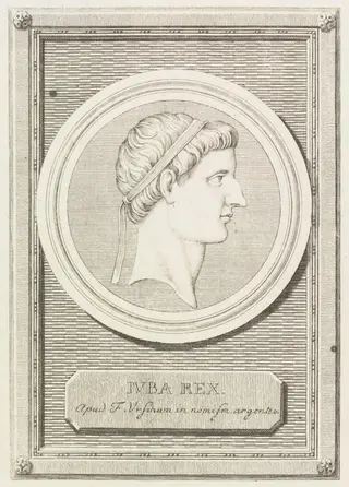 Iuba Rex
