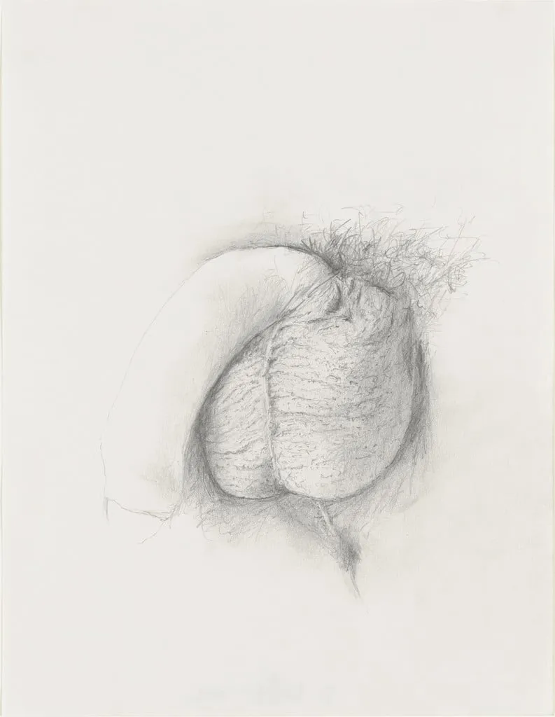 Untitled, by Donald Moffett, graphite, 2002