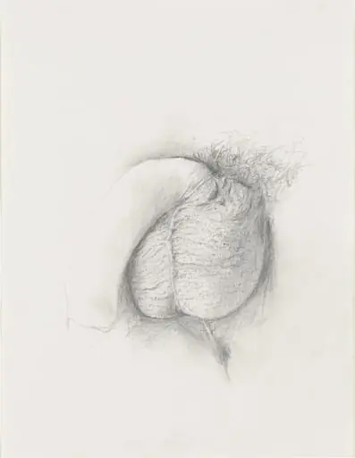 Untitled, by Donald Moffett