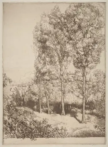 Sunlight and Shadows, No. 3, by Donald Shaw MacLaughlan
