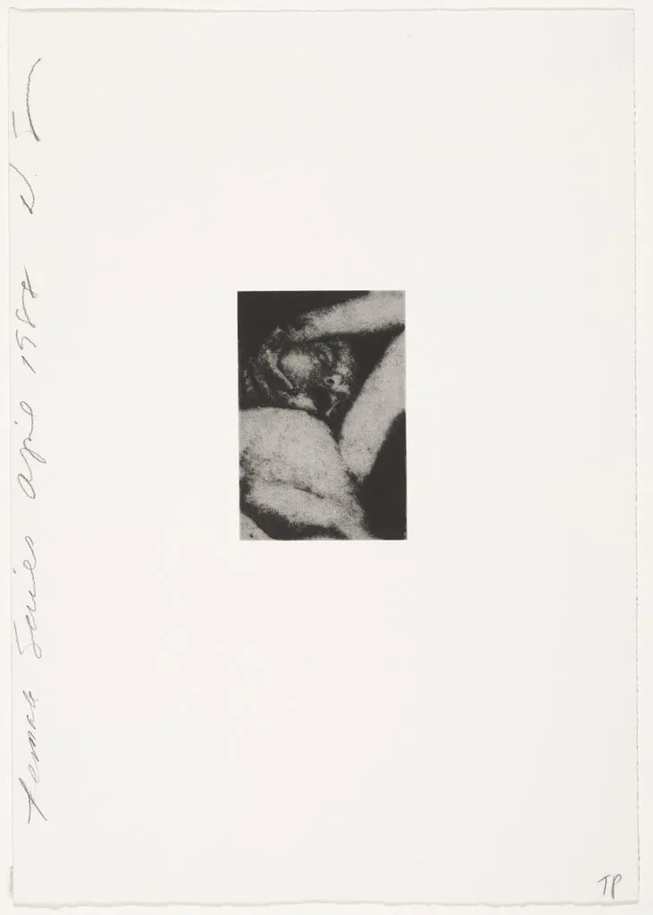 Untitled, by Donald Sultan, ink, 1988
