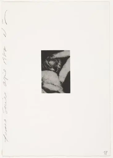 Untitled, by Donald Sultan