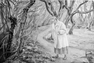 Dorthealiljerne blomstrer