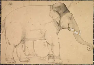 Drawing of an Elephant