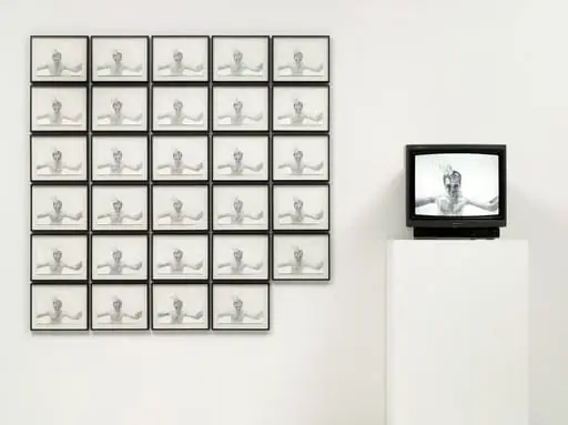Untitled, by Dryden Goodwin
