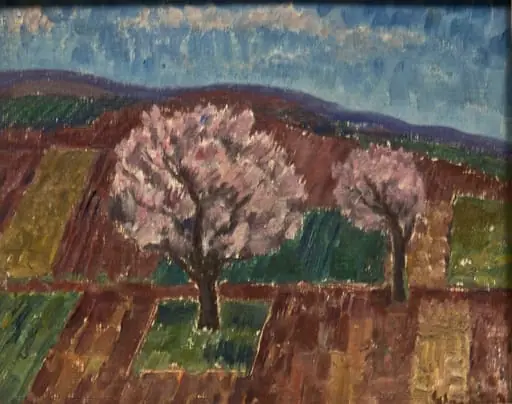 Cireși înfloriți, by Dumitru Ghiață