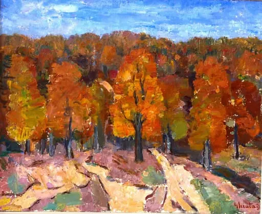 Pădure de fagi, by Dumitru Ghiață