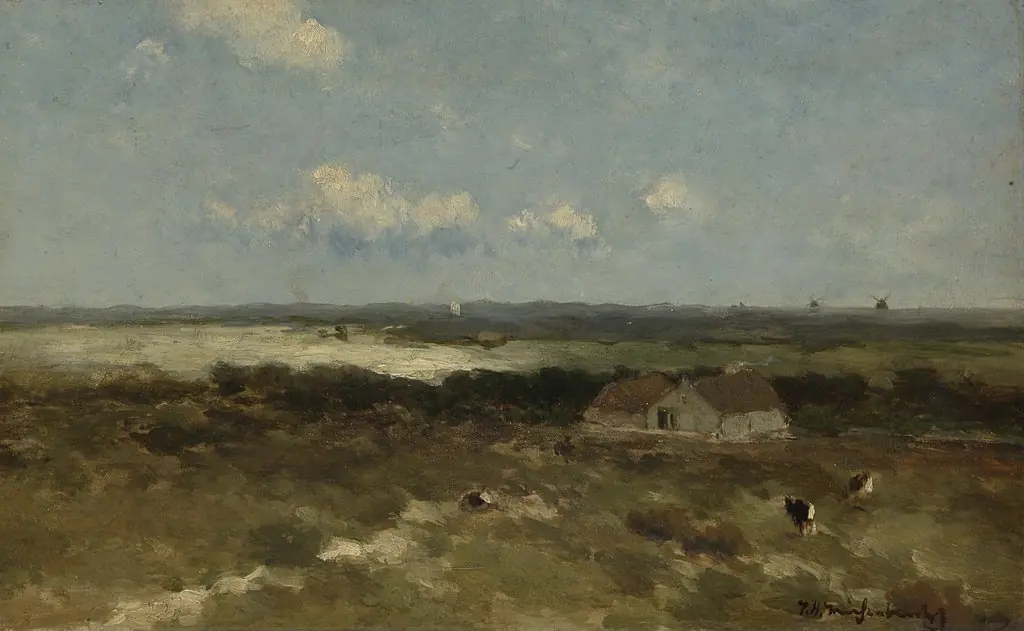 Dune landscape