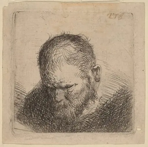Bearded Man Looking Down, by Dutch 17th Century