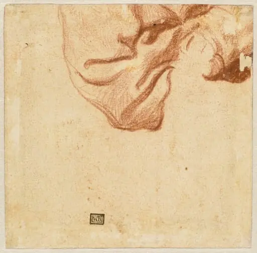 Drapery Study (verso), by Dutch 17th Century