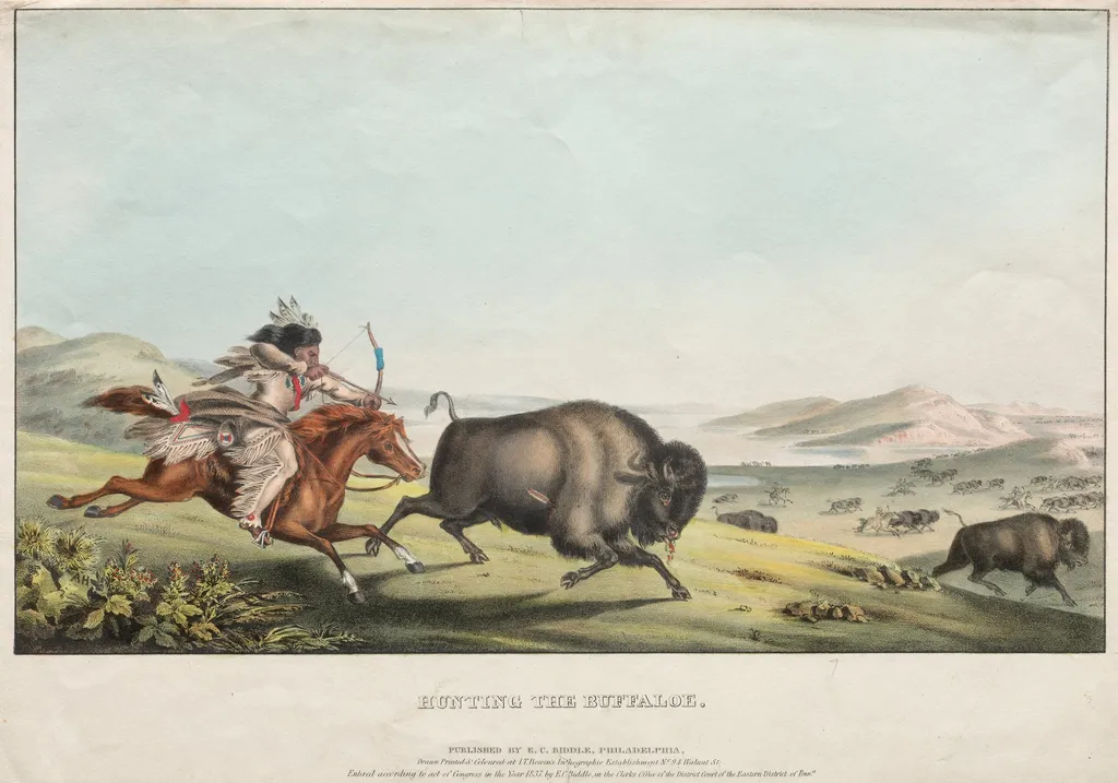 Hunting the Buffalo, by E. C. Biddle, 1837