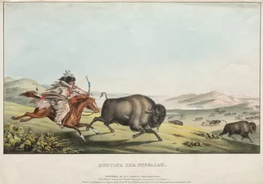 Hunting the Buffalo, by E. C. Biddle