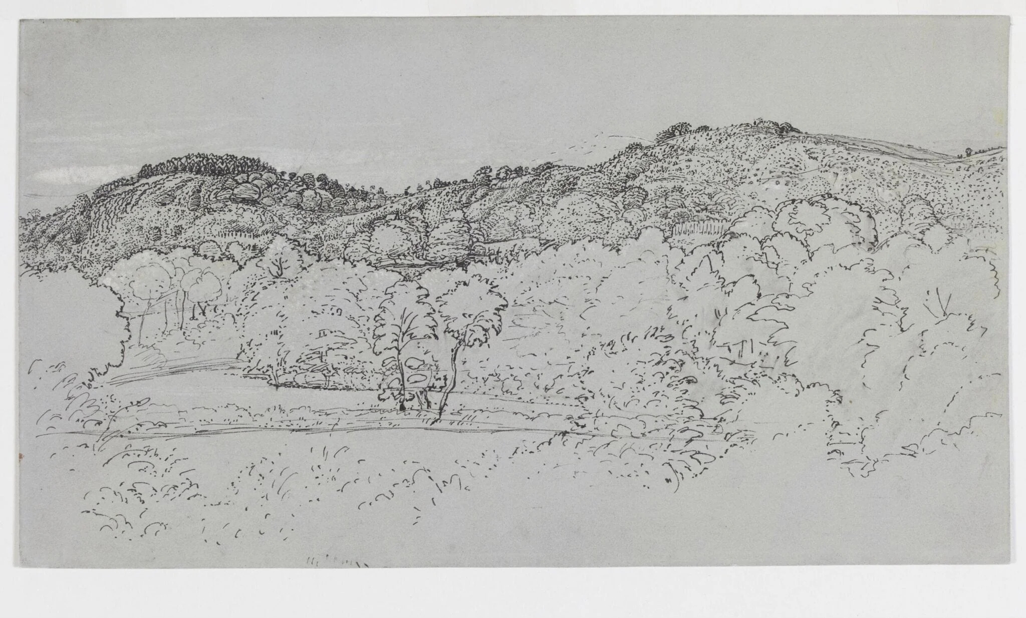 A wooded hillside at Underriver, near Sevenoaks, Kent, detail