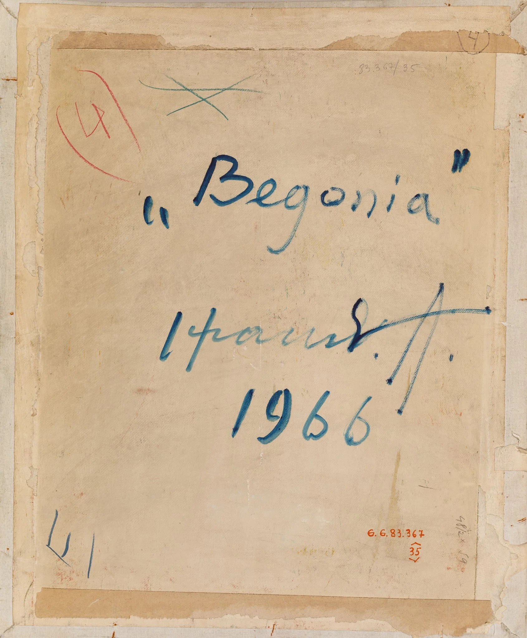 Begonie și carte, detail