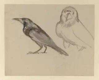 Untitled, by Bertram Potter, watercolor, 1850