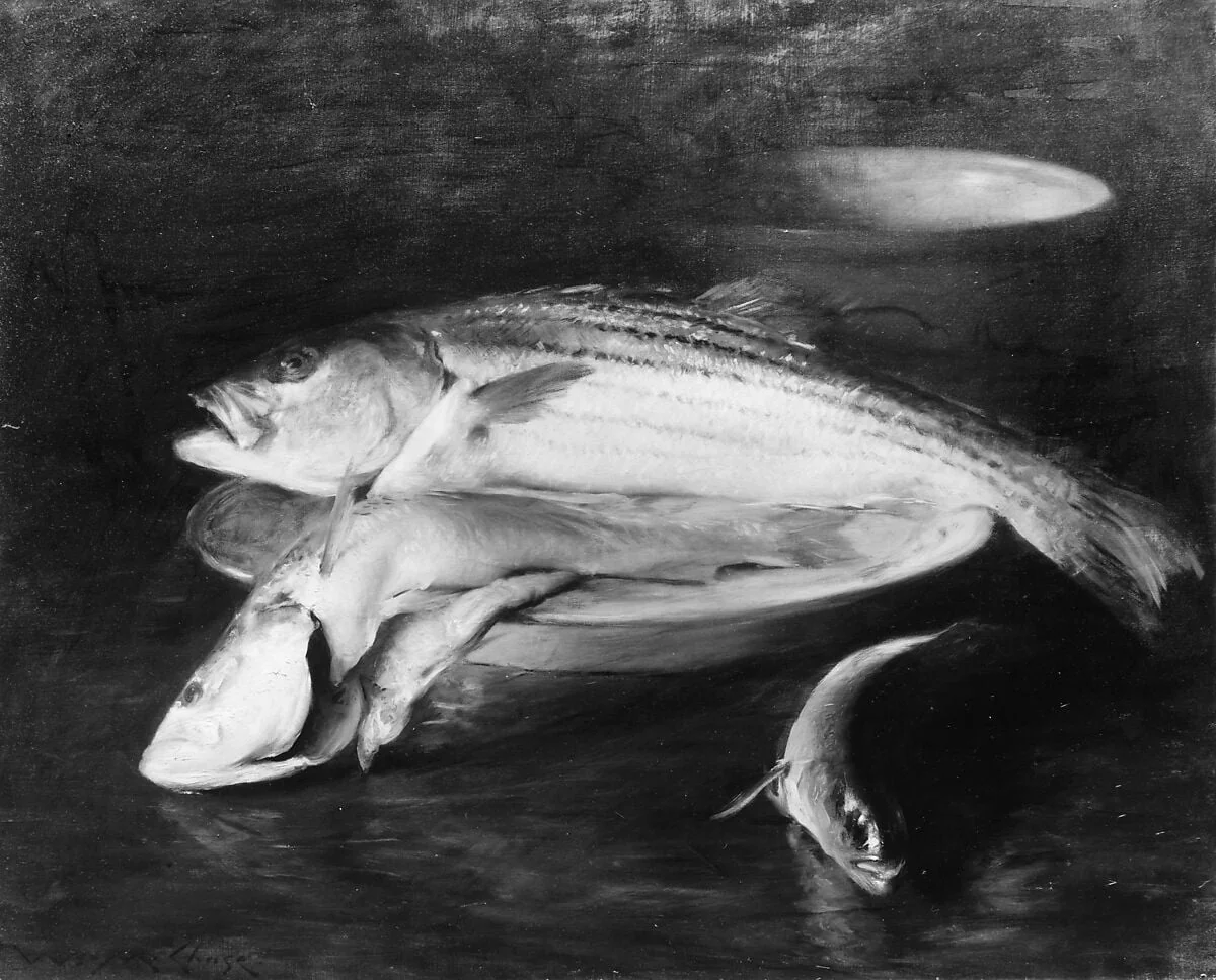 Fish, detail