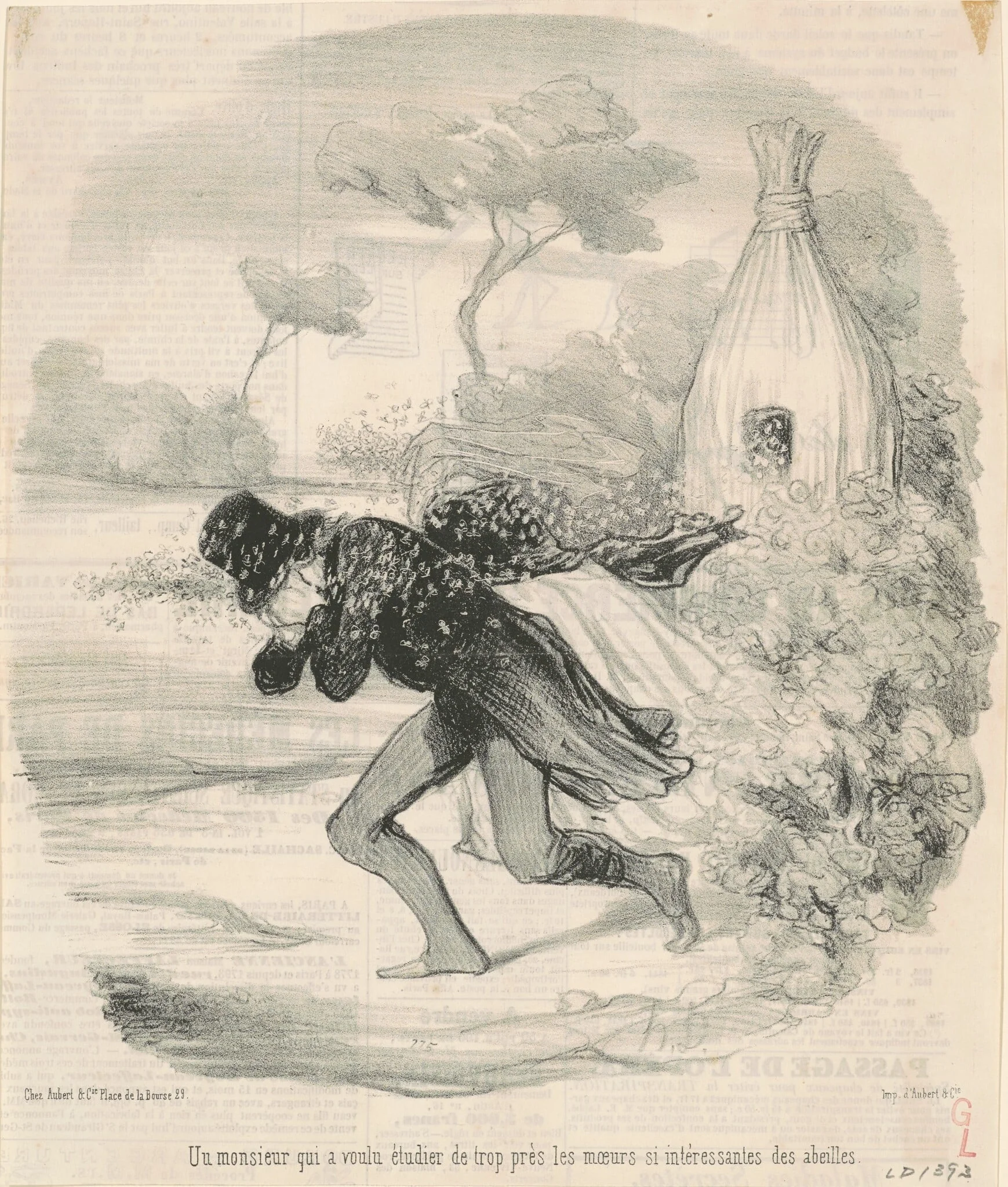 Un monsieur qui voulu étudier ... les moeurs ... des abeilles, detail