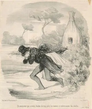 Un monsieur qui voulu étudier ... les moeurs ... des abeilles, by Honoré Daumier, ink, 1845
