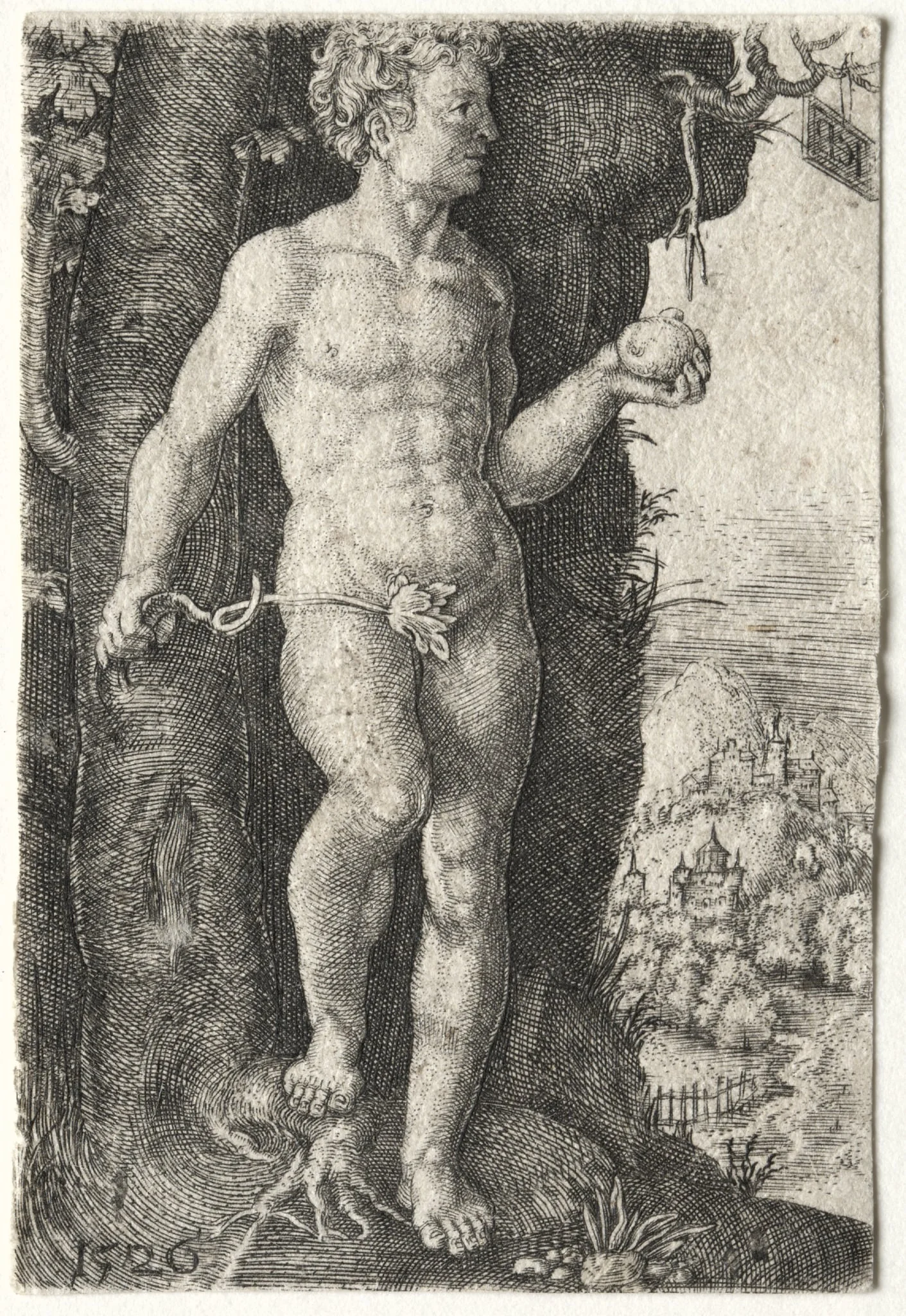 Adam, detail