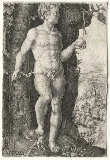 Adam, by Jacob Binck, 1526