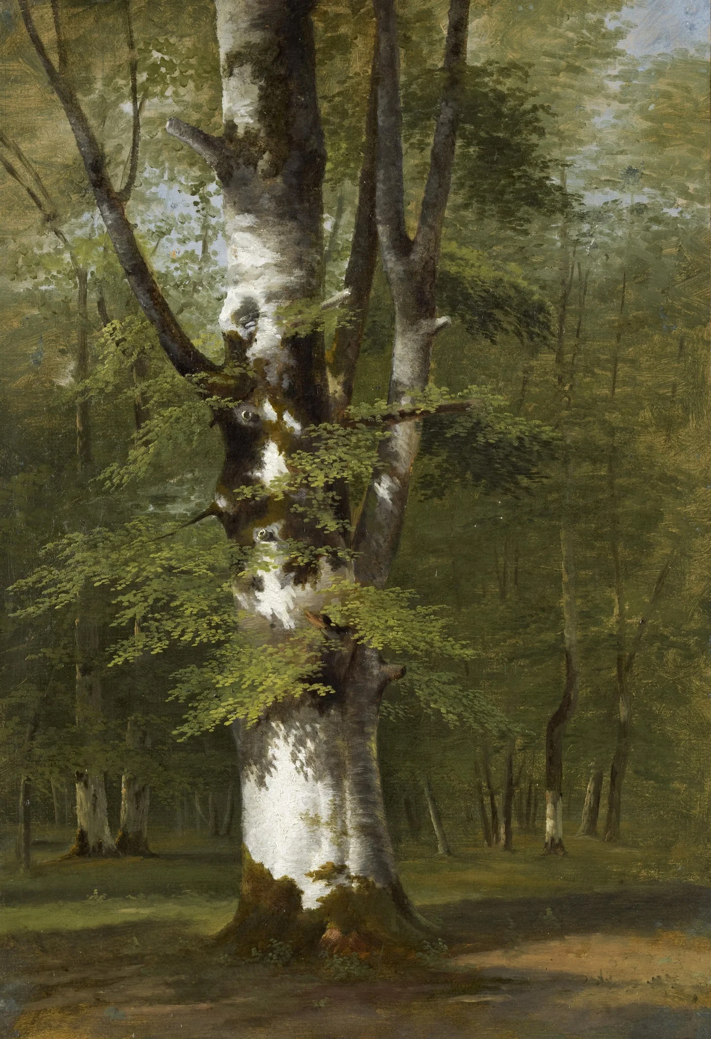 A Study of a Tree, detail