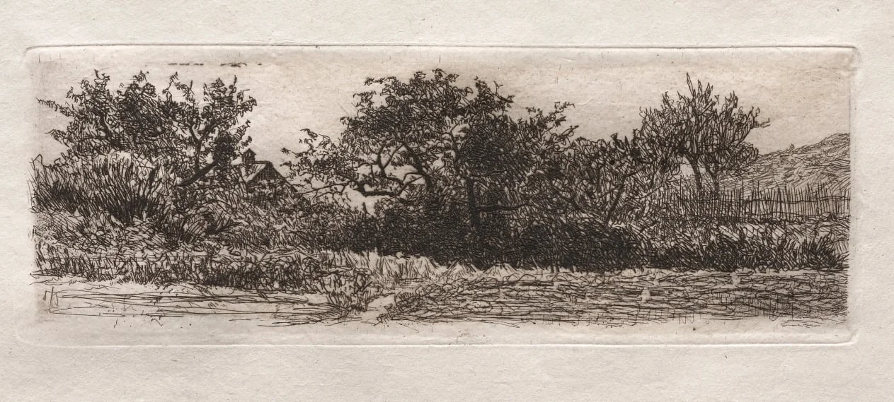 Roofs and Trees, detail