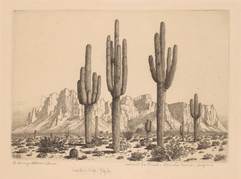 Desert Sentinels, Apache Trail, Arizona, by George Elbert Burr, ink, 1930