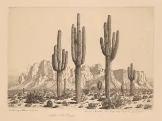 Desert Sentinels, Apache Trail, Arizona, by George Elbert Burr, ink, 1930