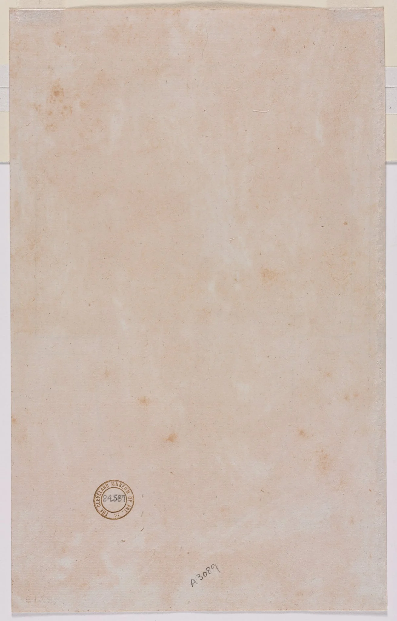 Architectural Plan (verso), detail