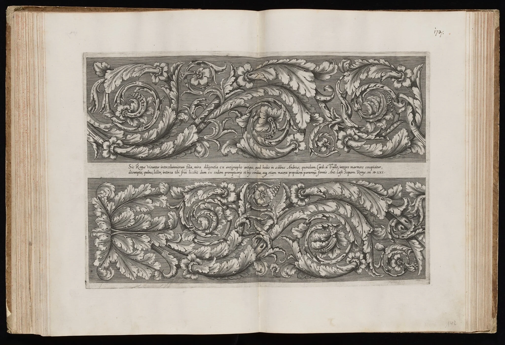 Acanthus Scrolls, detail