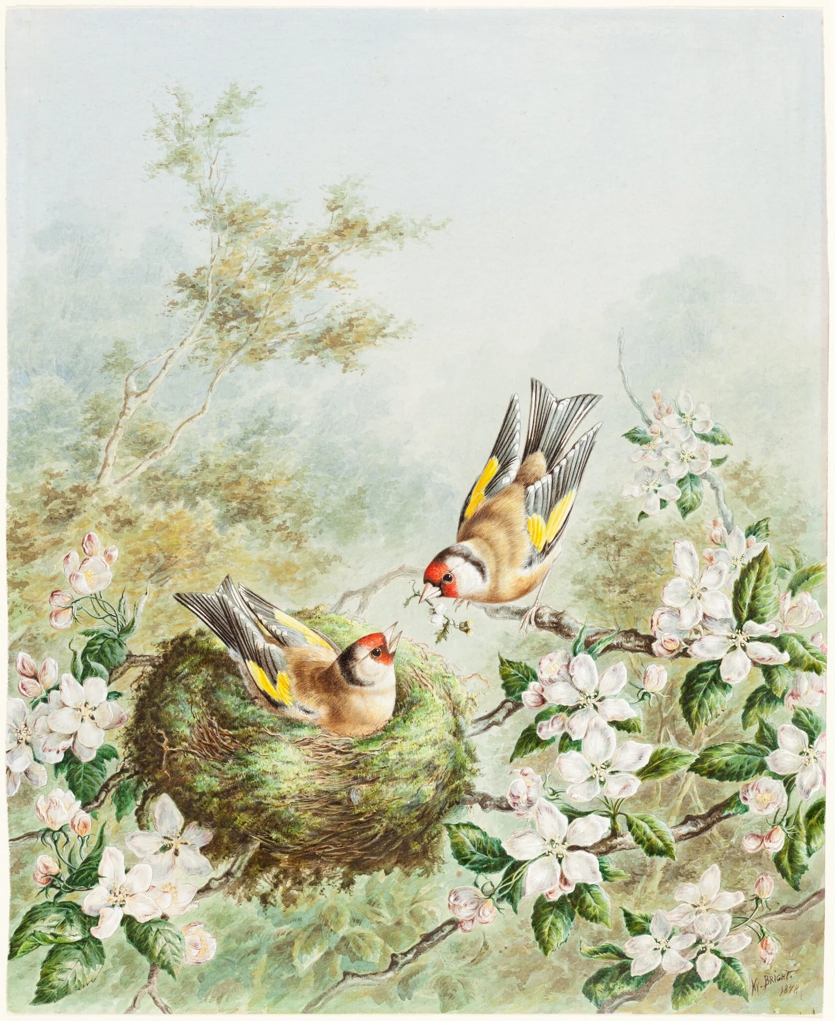Gold Finches and Their Nest in an Apple Tree, detail