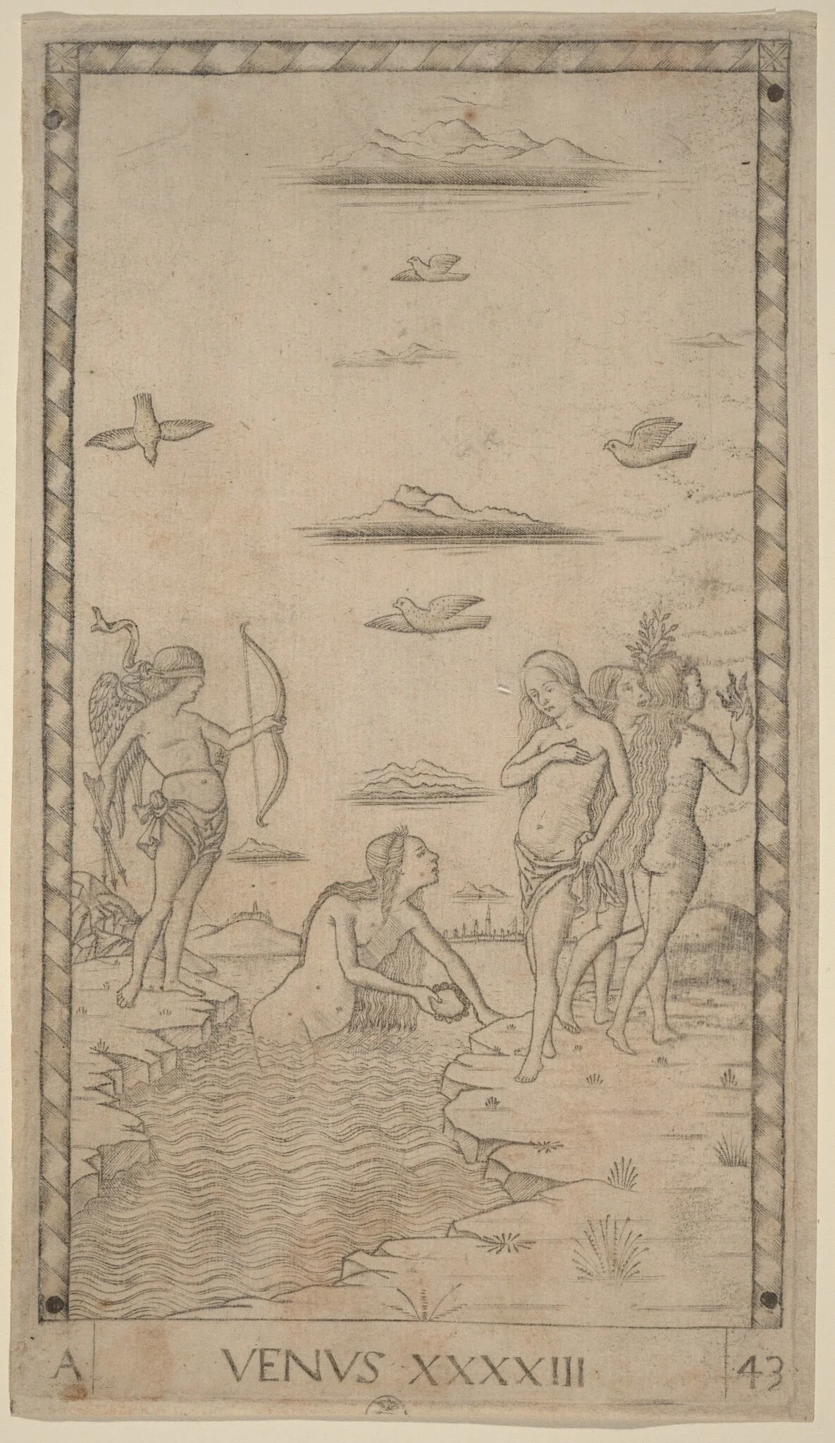 Venus, detail