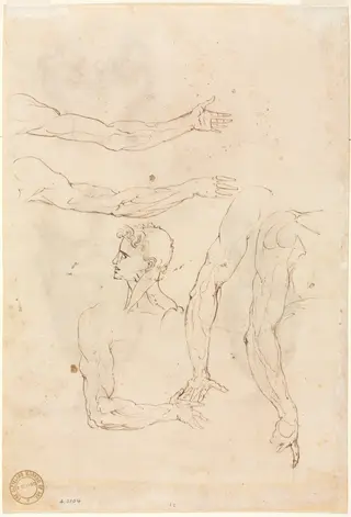 Sketches of Five Arms and a Head (verso), by Luzio Romano, 1504
