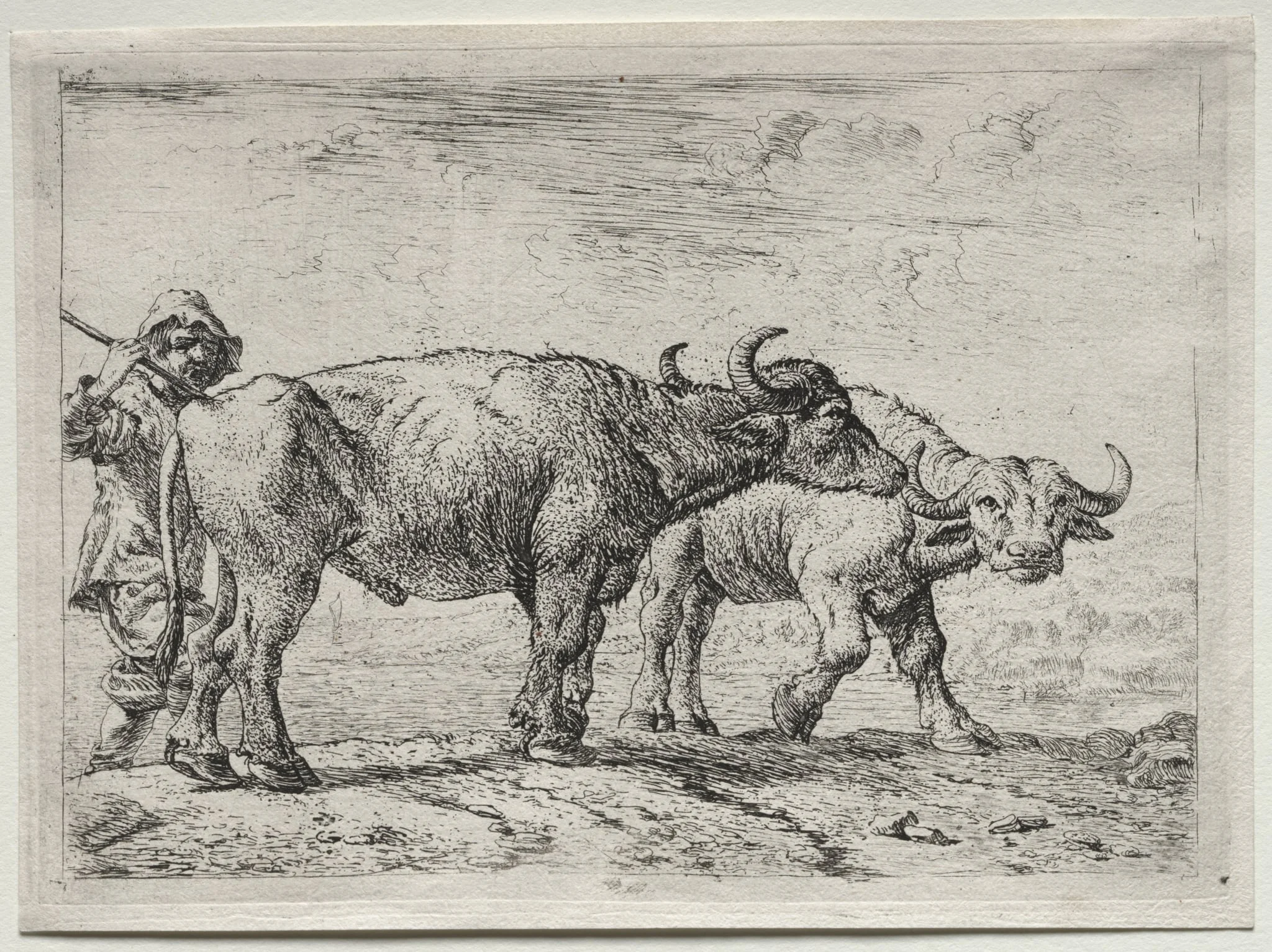 The Two Buffaloes, detail