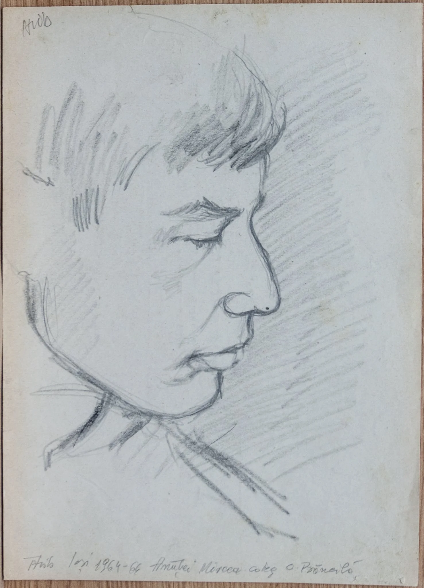 Anuței Mircea coleg, detail