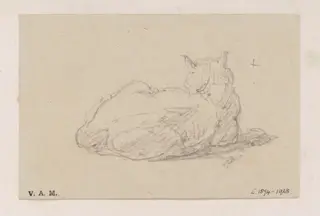 A study of a cat, by George Chinnery, 19