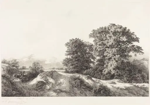Oaks in the Vaux de Cernay, by Eugène Bléry, ink, 1840