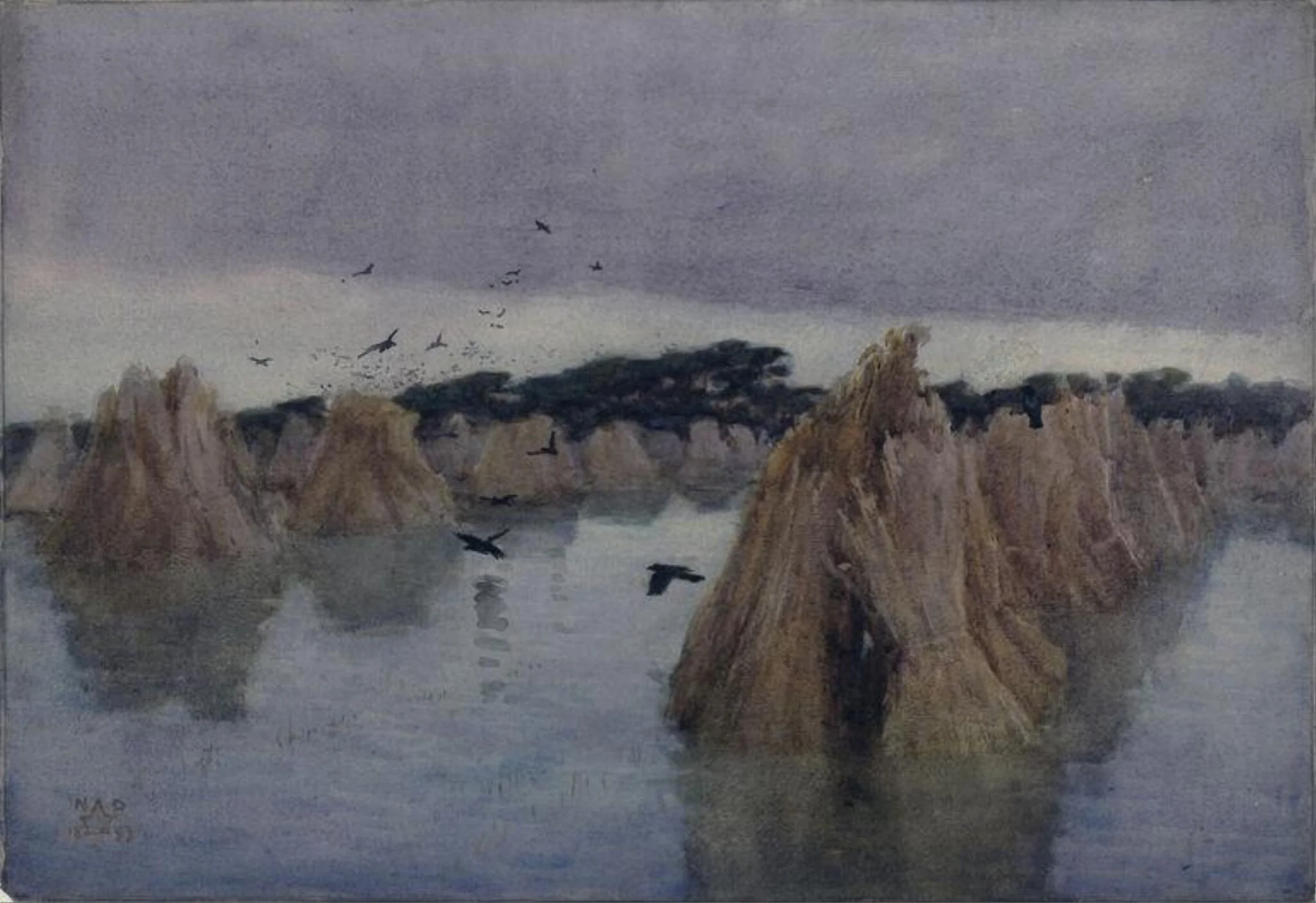 Flooded cornstooks, detail